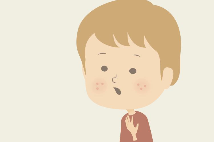 大人のニキビは構造的な問題