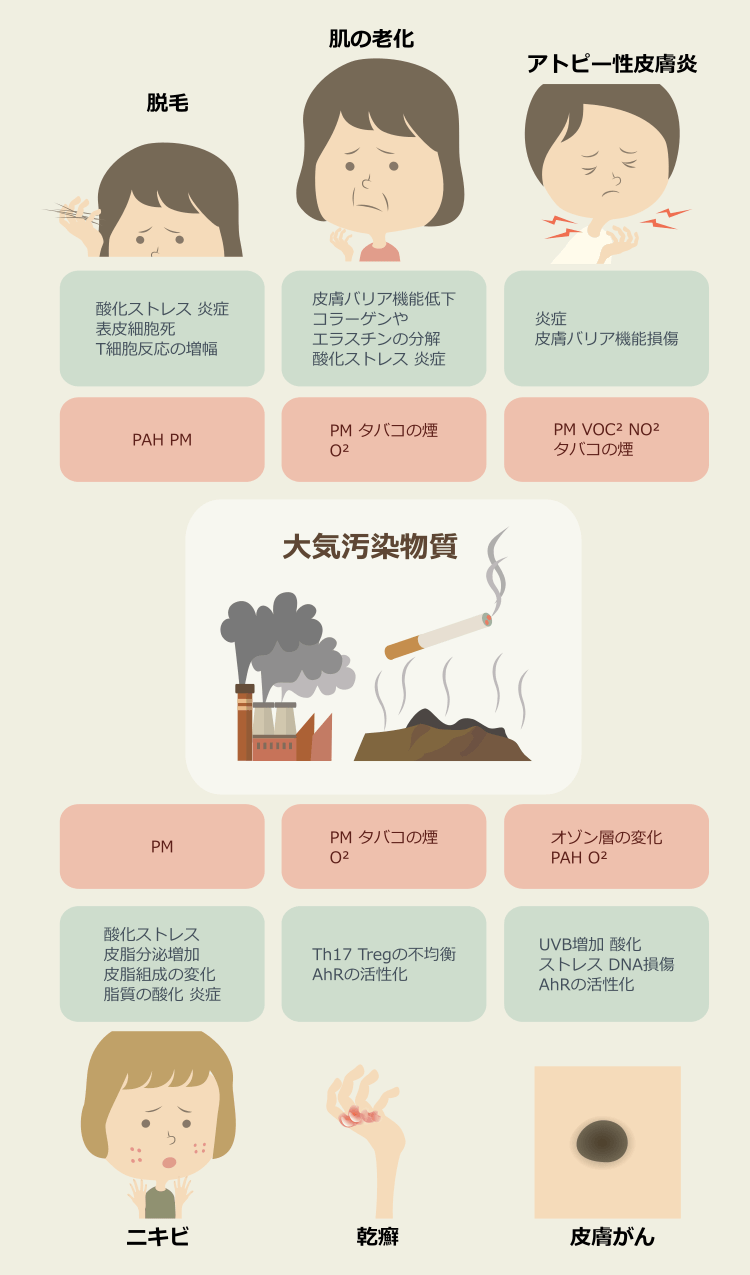 大気汚染物質が肌の老化、ニキビ、乾癬、皮膚がんやアトピー、脱毛に影響する