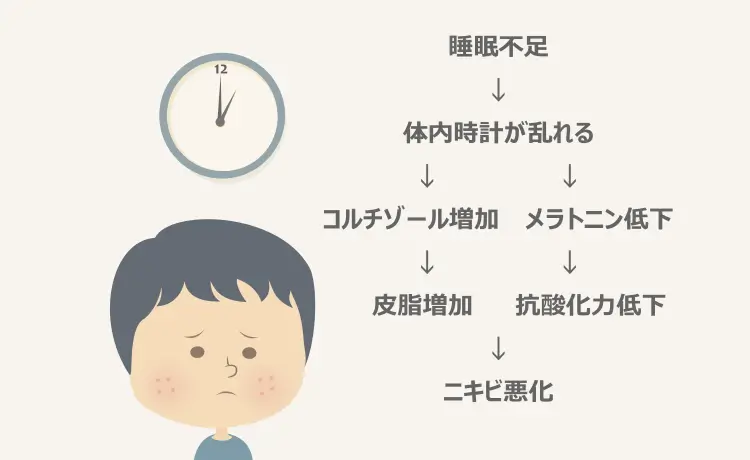睡眠不足や睡眠の質の低下がニキビの悪化を招く経緯