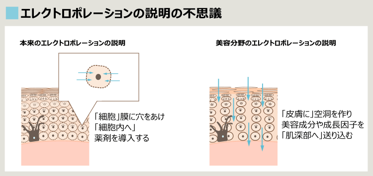 エレクトロポレーション（美容）について解説