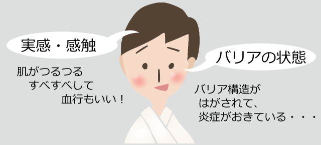 メンズエステによくある感触の誤解