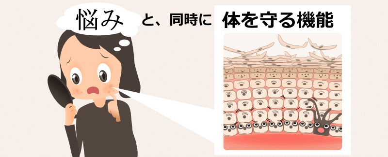 紫外線への反応はしみ、くすみ、ニキビやニキビ跡の原因であると同時に、体を守る反応