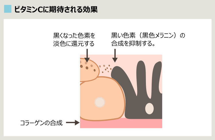 ビタミンCの美白効果ハリアップ効果